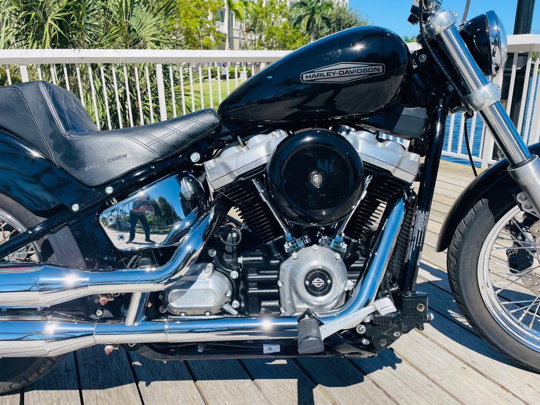 Softail® Standard