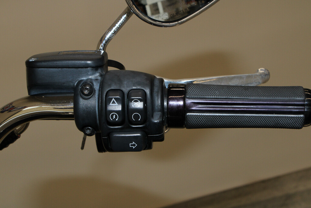 Softail® Low Rider®