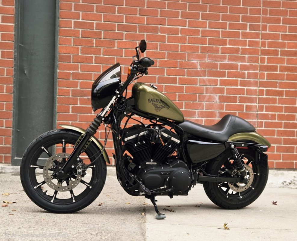Sportster® Iron 883®