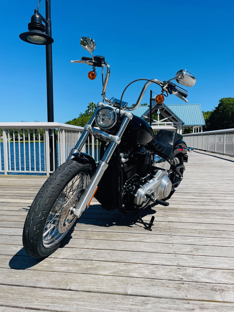 Softail® Standard
