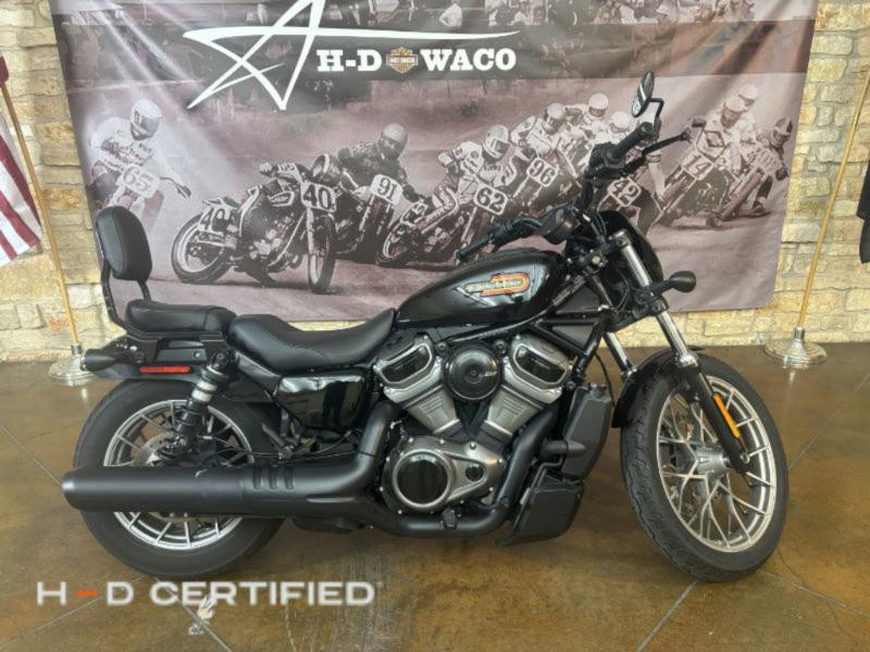 Nightster Special