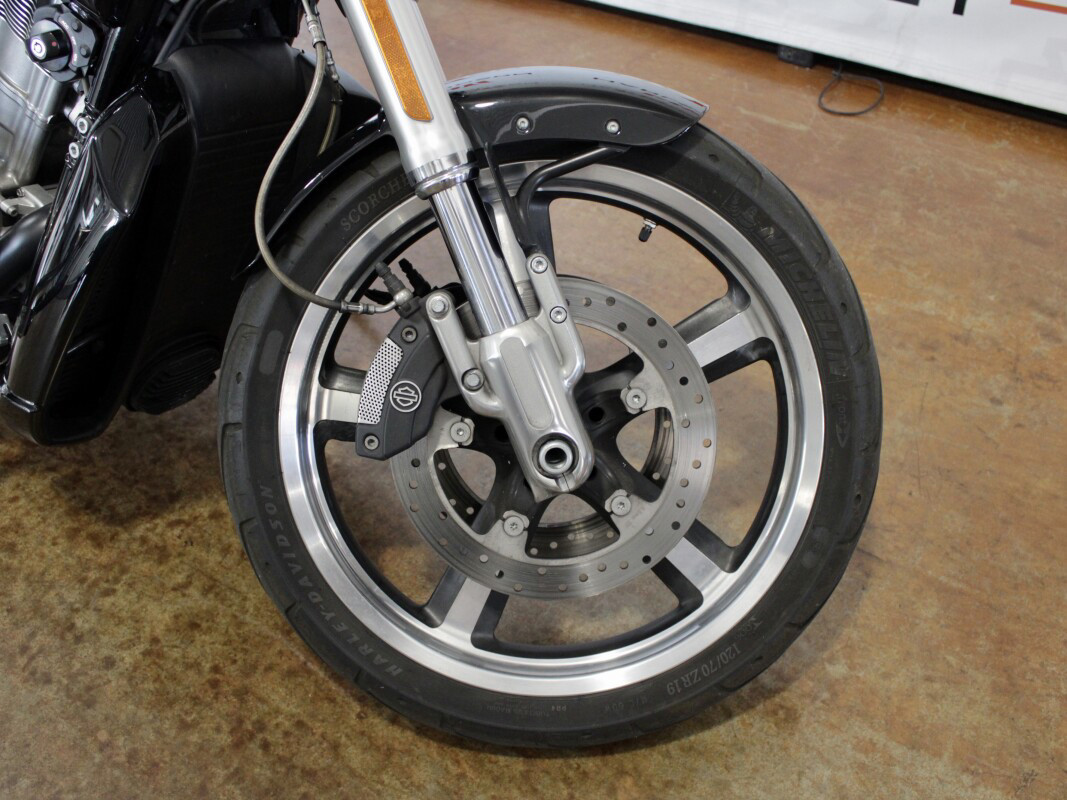 V-Rod® Muscle