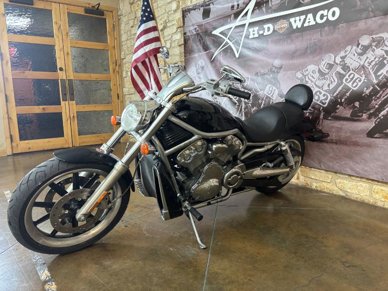 V-Rod® - Silver/Gray Frame