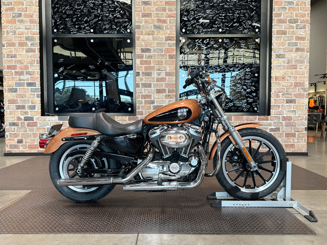 Sportster® 1200 Low Anniversary