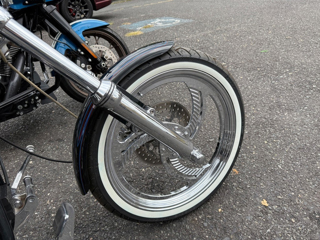 Softail® Custom