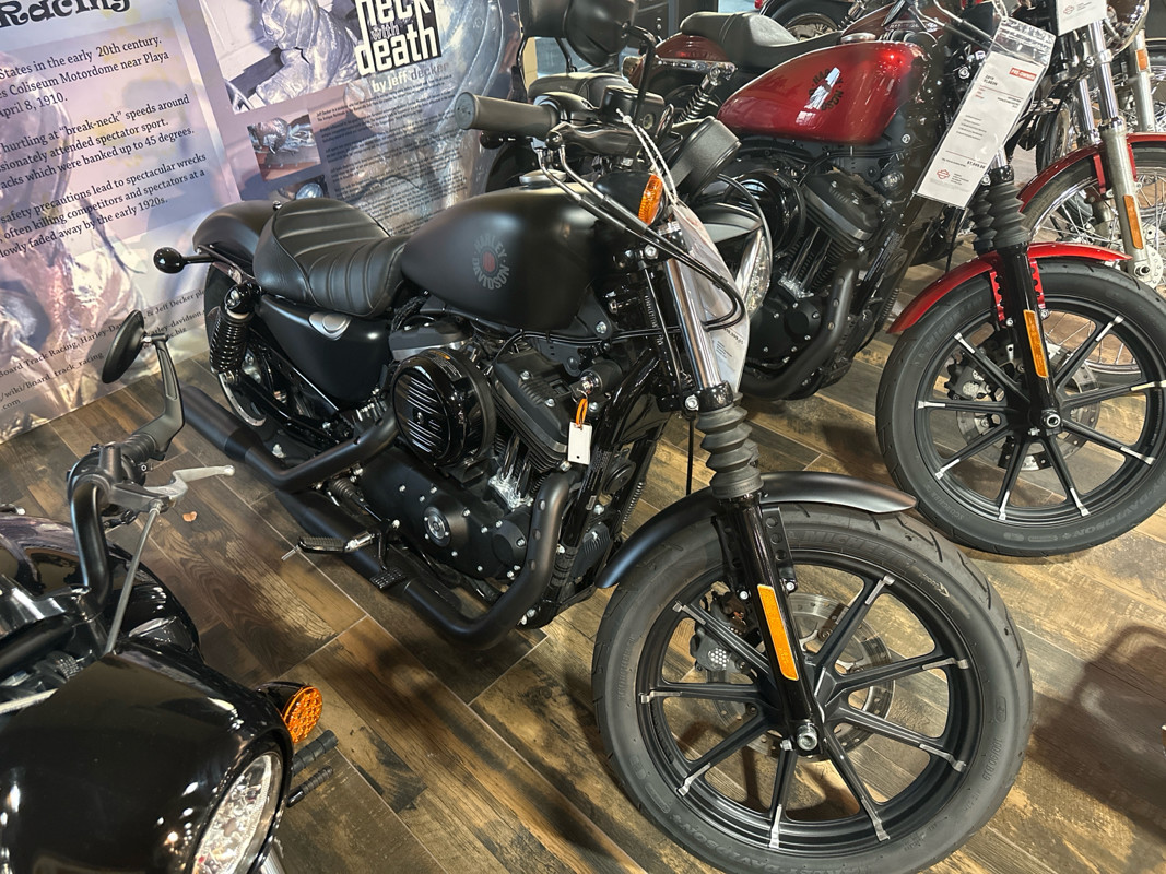 Iron 883®