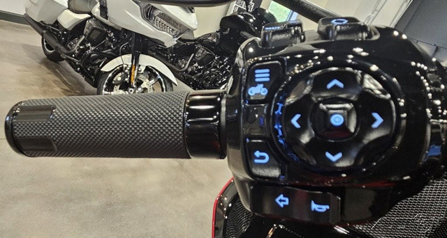 CVO® Road Glide® ST