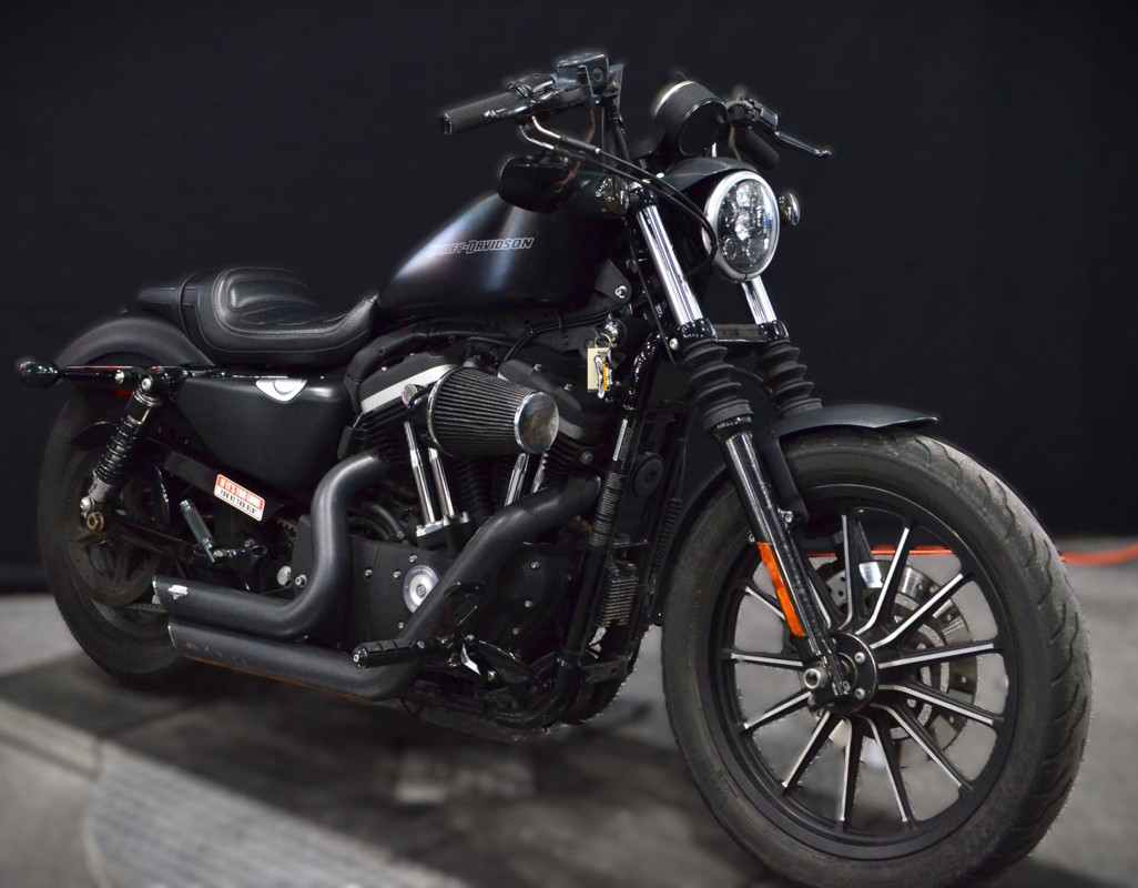Sportster® Iron 883®