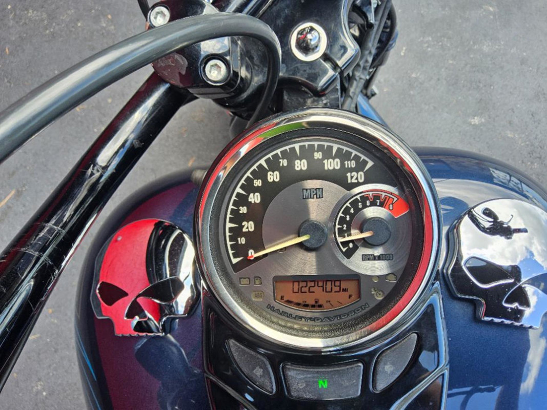 Softail® Cross Bones®