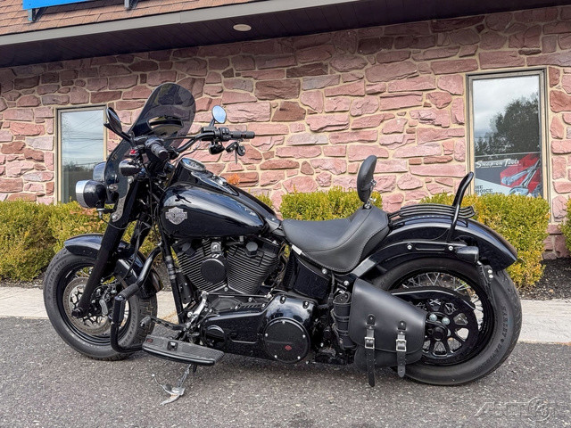 Softail® Slim® S