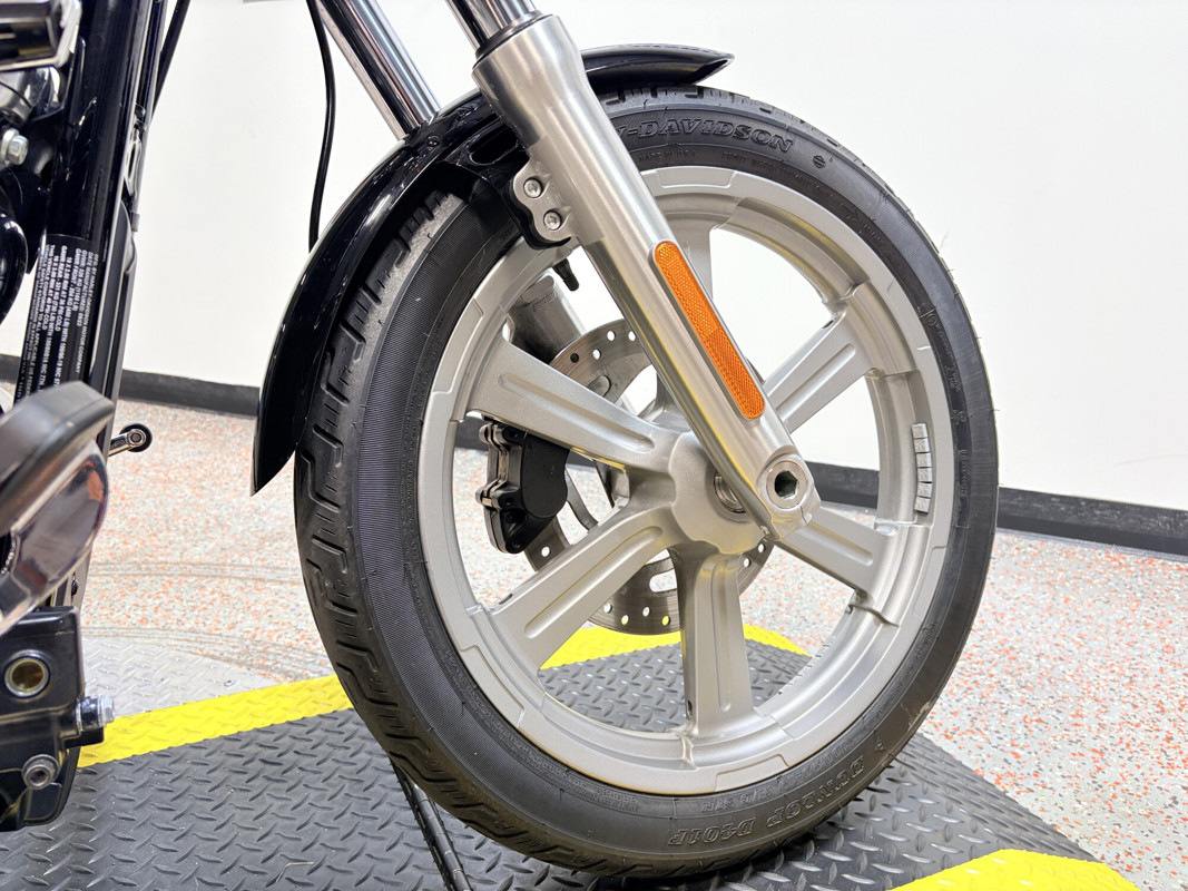 Softail® Standard