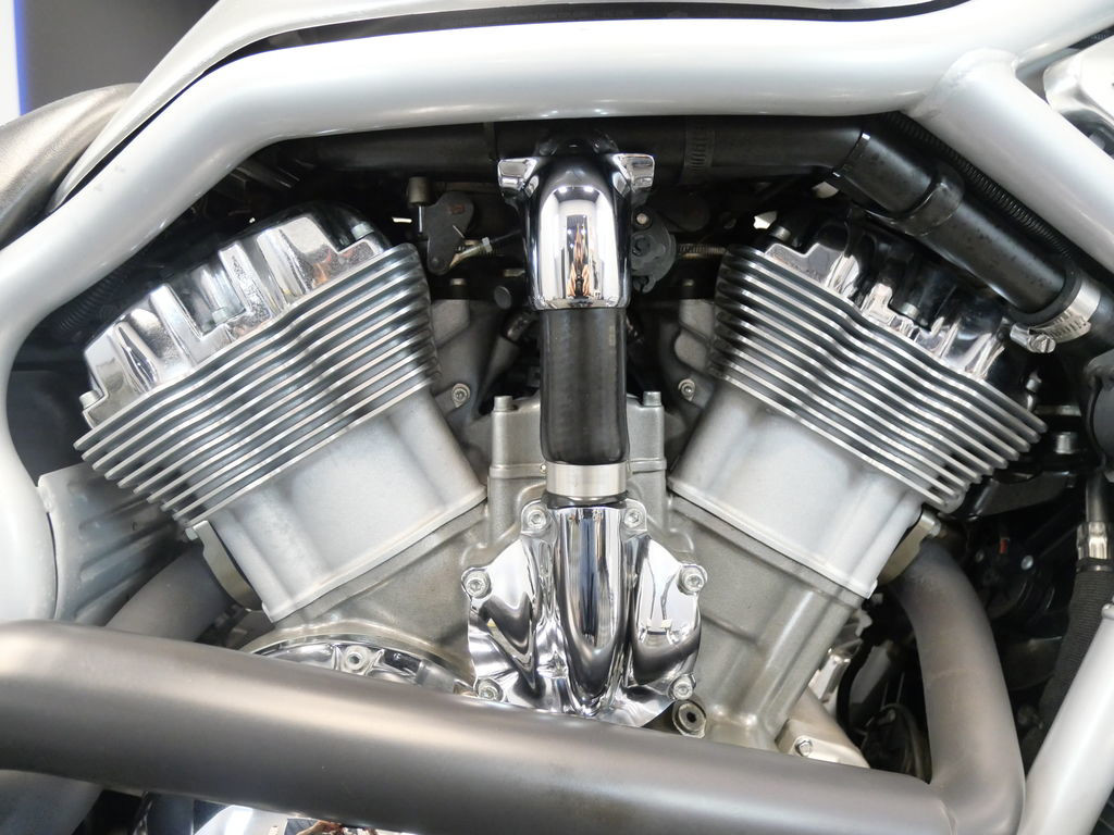 V-Rod®