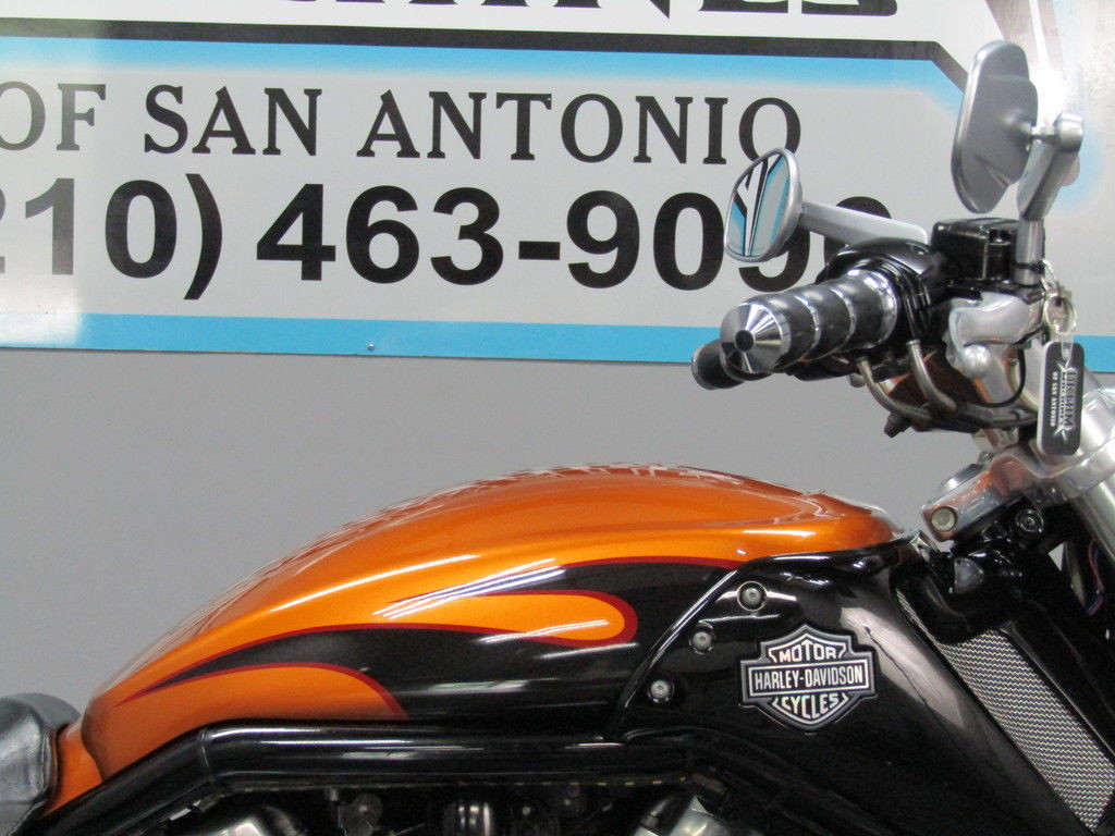 V-Rod® Muscle