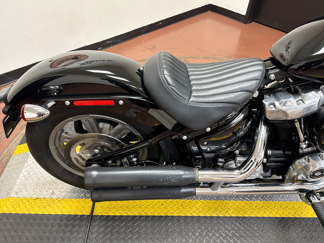 Softail® Standard