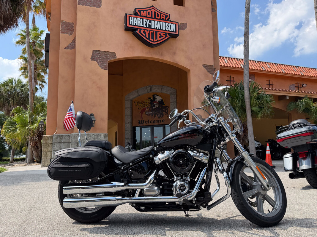 Softail® Standard