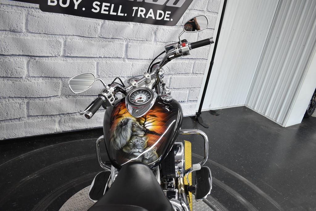 V Star 1100 Custom