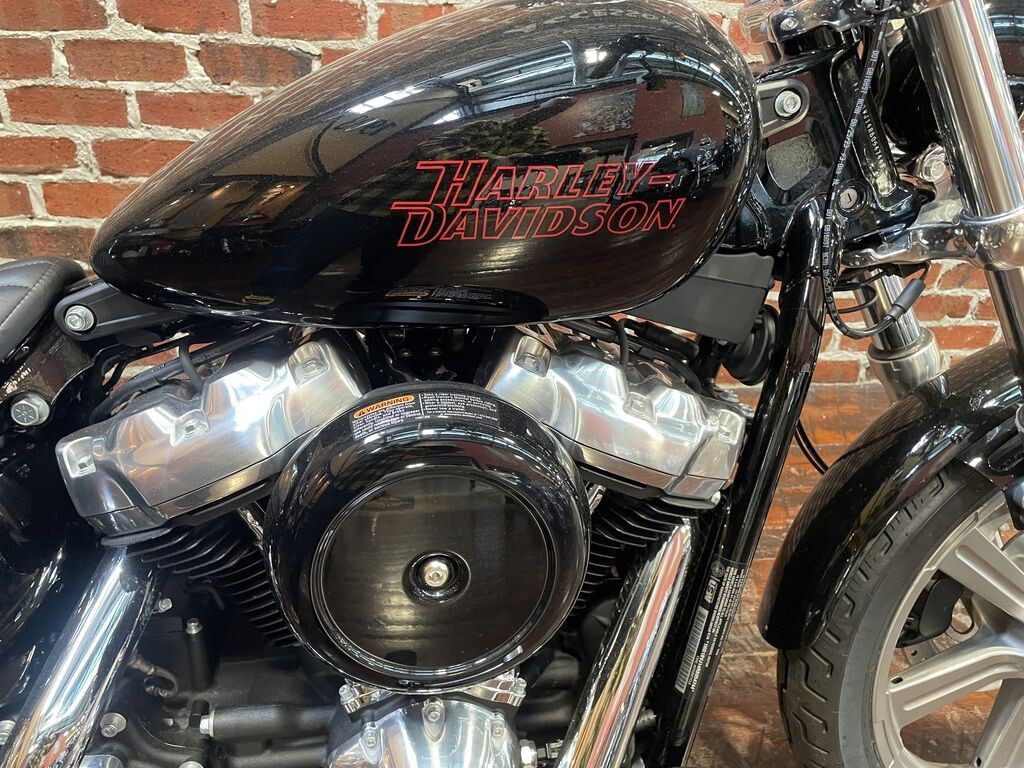 Softail® Standard