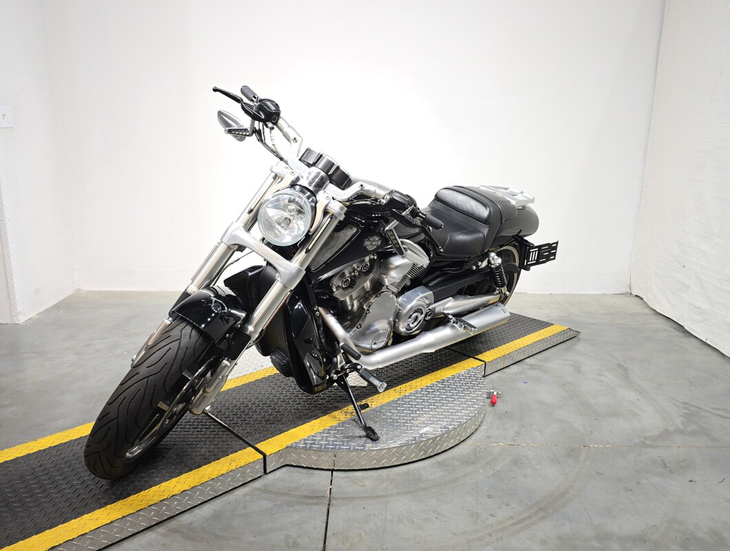 V-Rod® Muscle