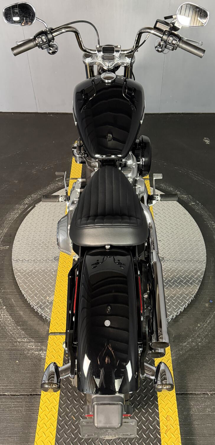 Softail® Standard