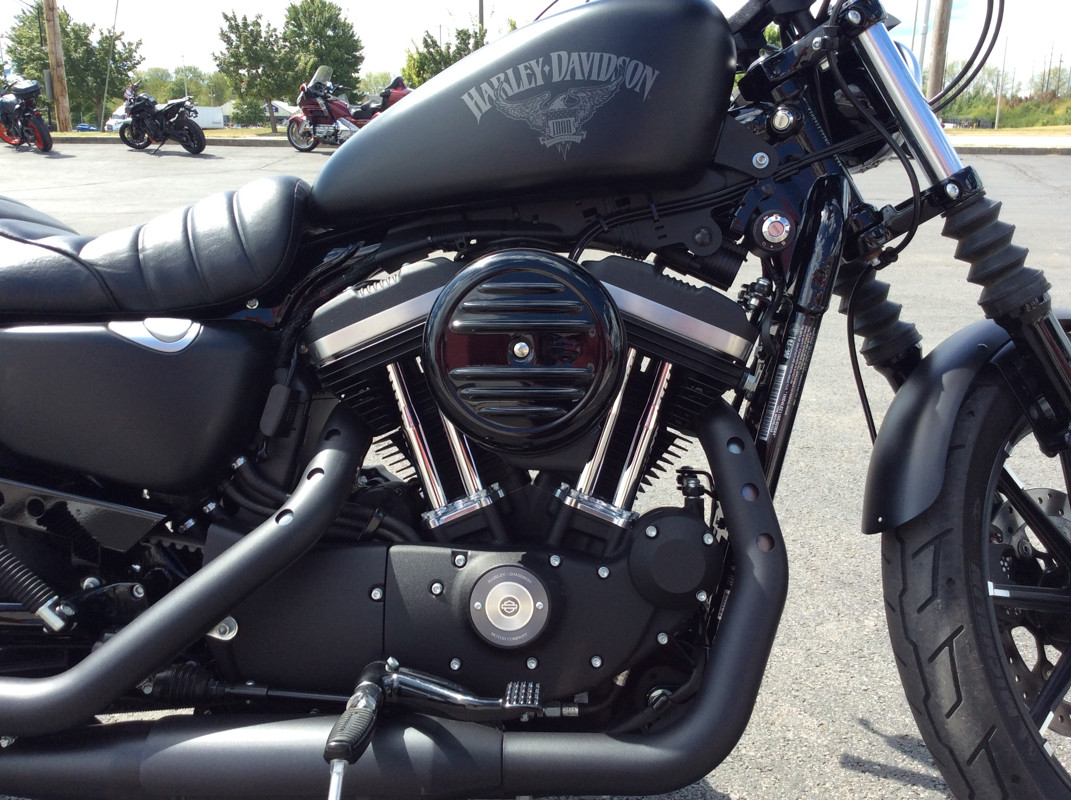 Sportster® Iron 883®