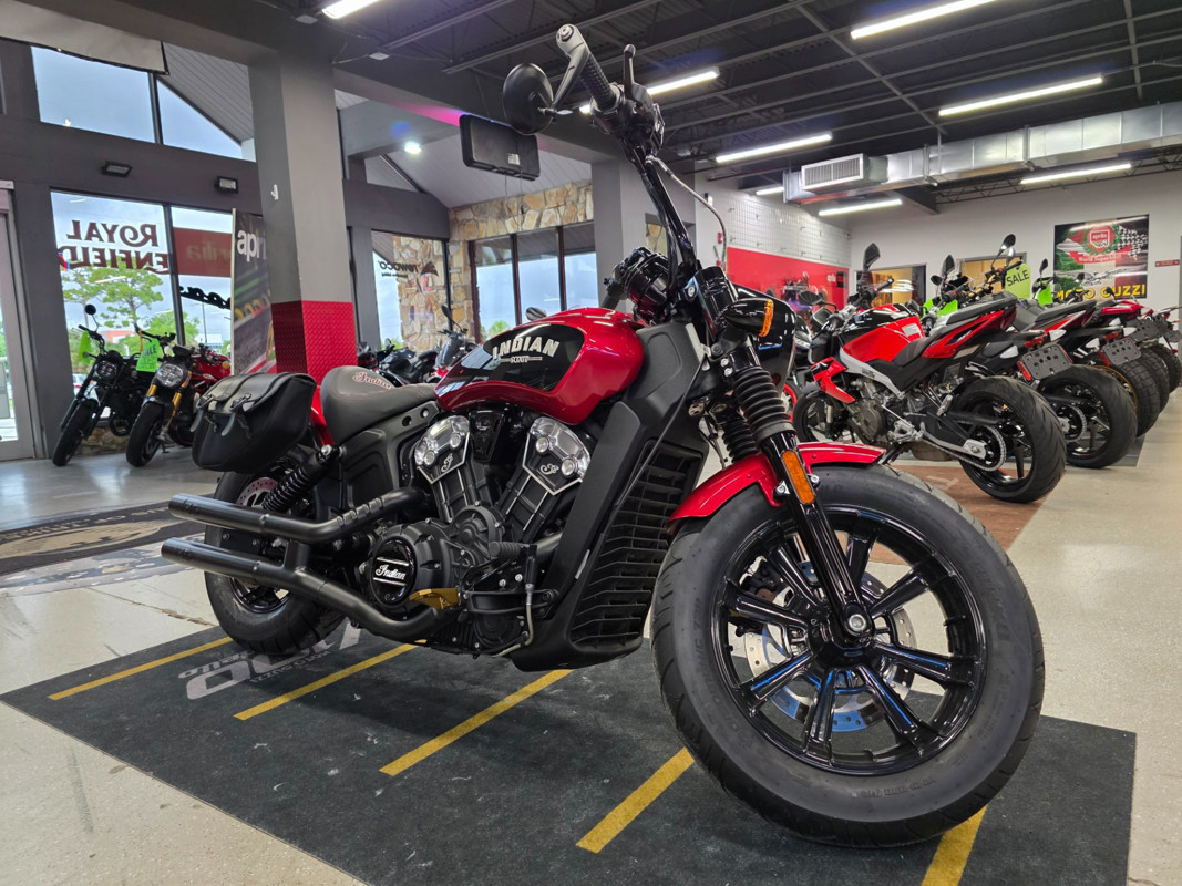 Scout® Bobber