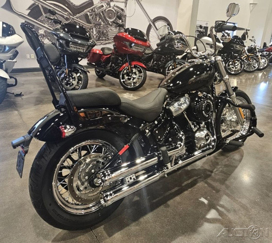 Softail® Standard