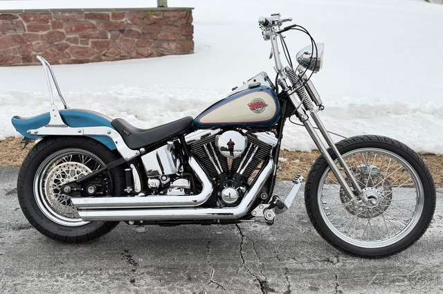 Springer® Softail®