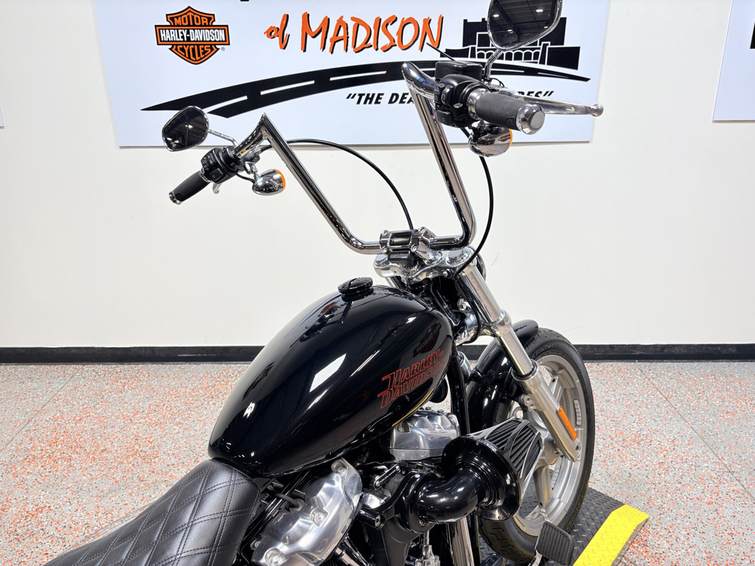 Softail® Standard