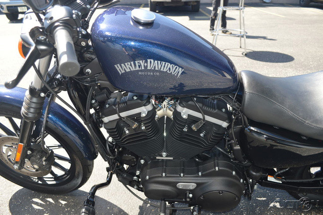 Sportster® Iron 883®