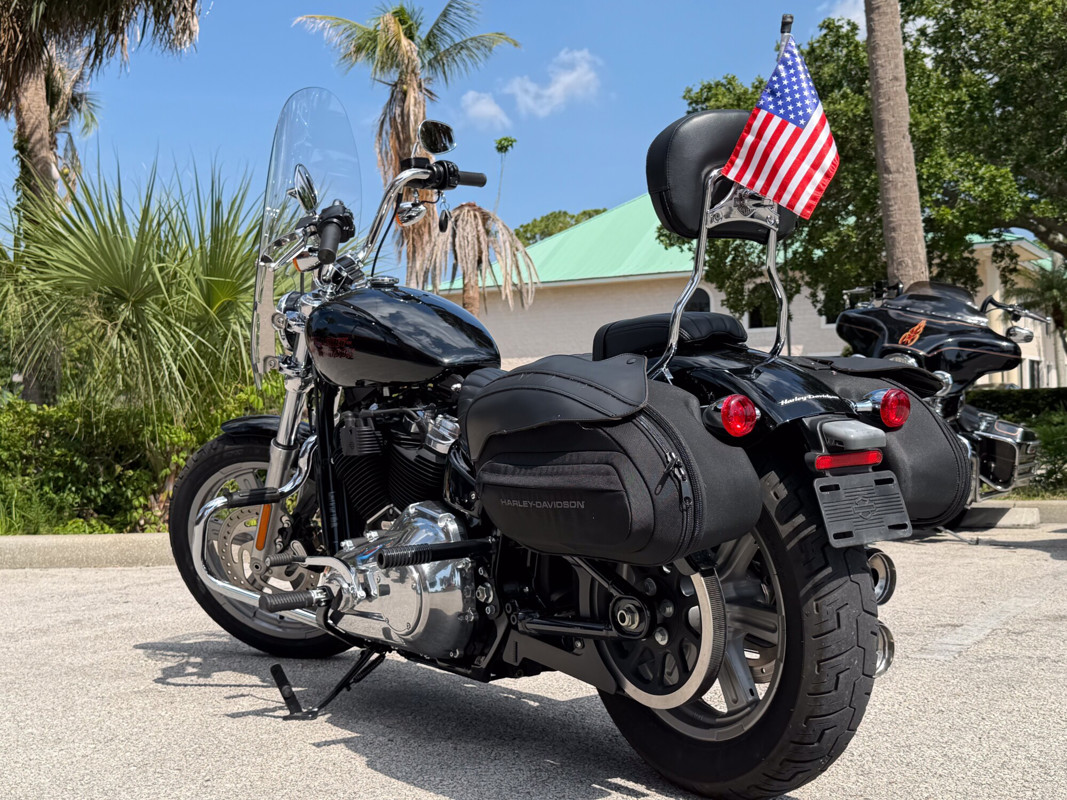 Softail® Standard