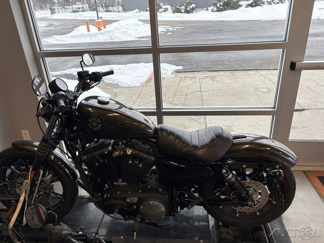 2020 Harley-Davidson® XL883N Iron 883® for Sale in Cleveland, OH (Item ...