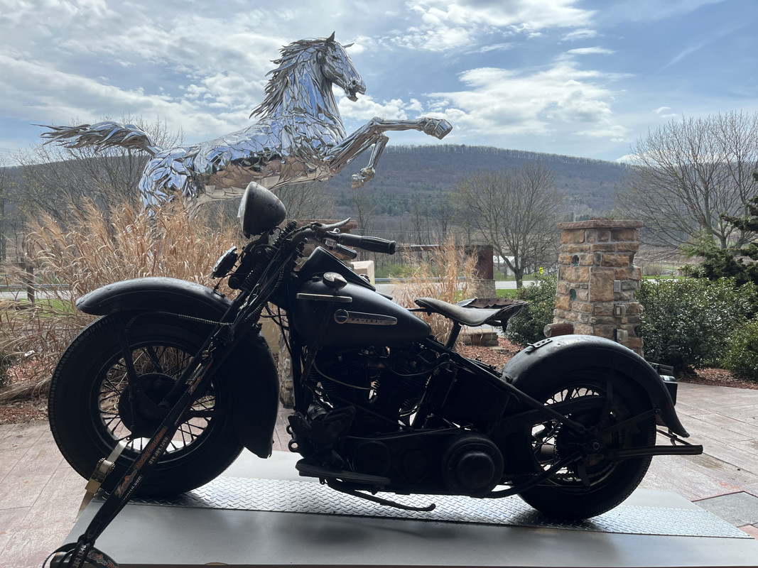 Special Sport Solo Knucklehead