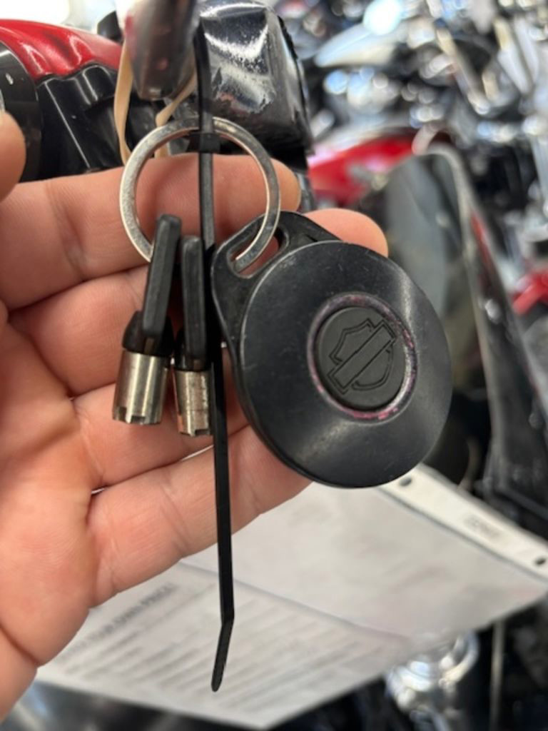 Dyna® Wide Glide®