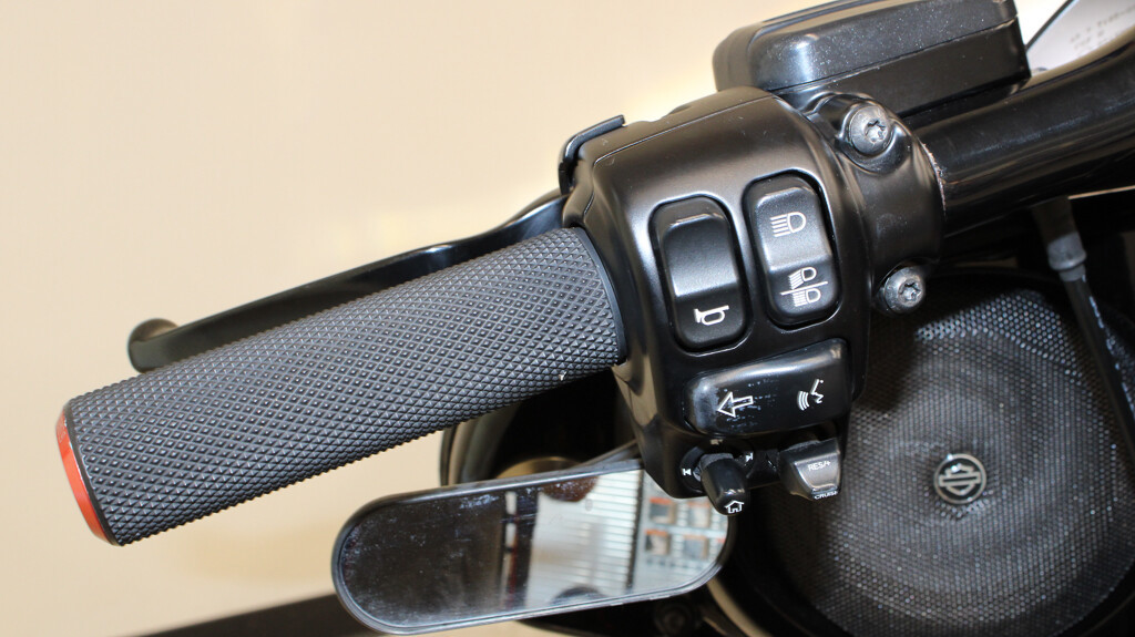 Street Glide® Special