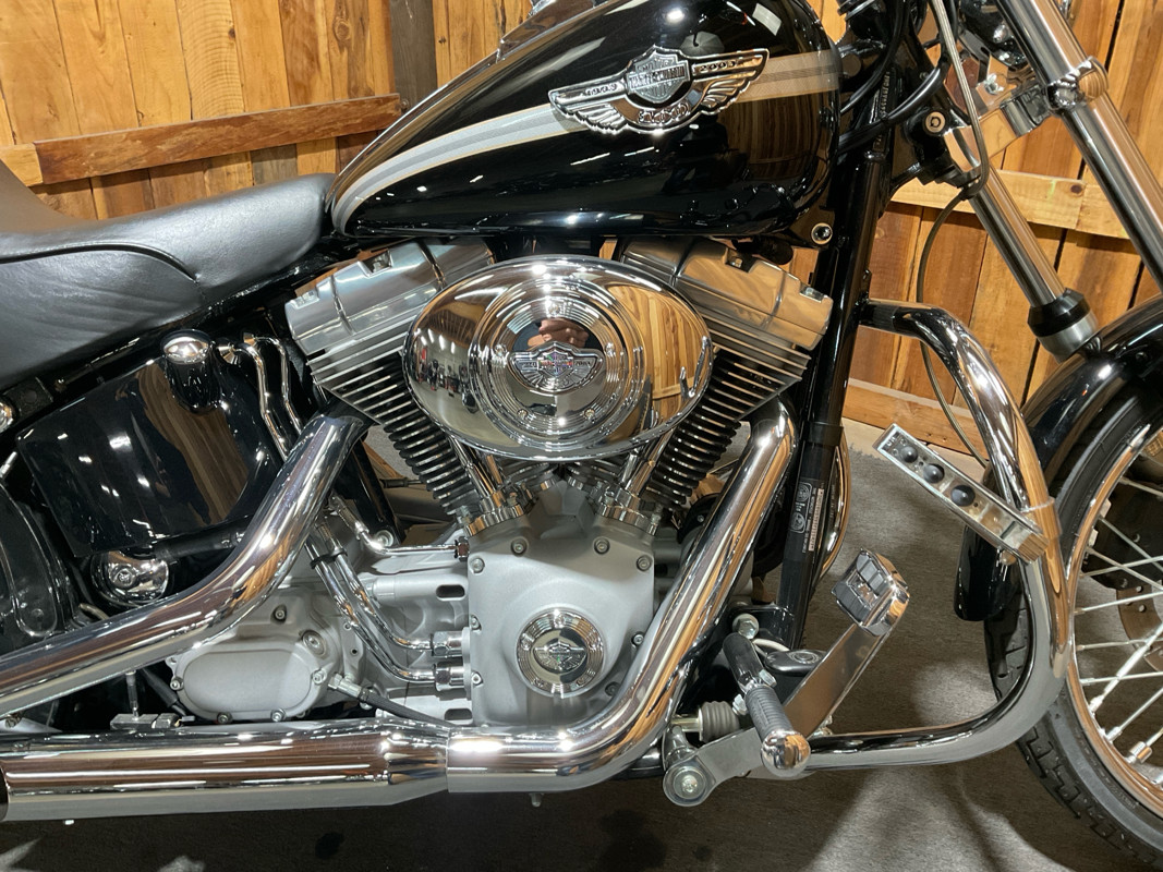 Softail® Standard