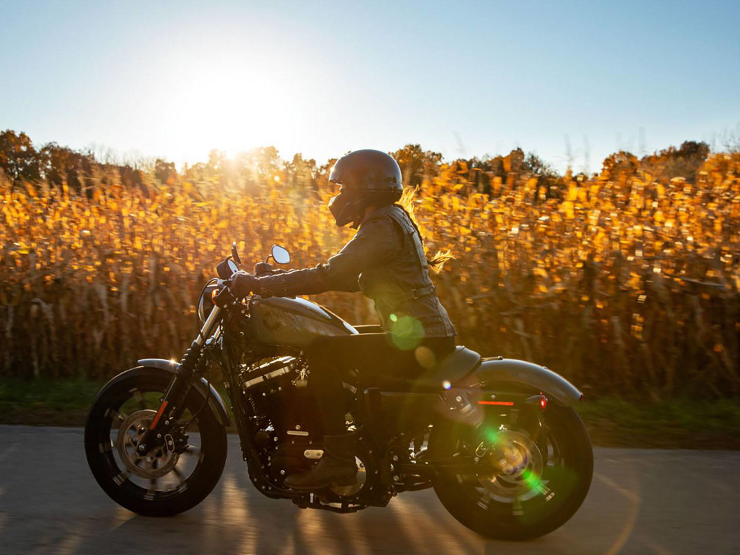 Iron 883®