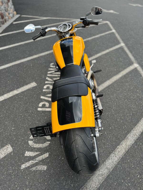 V-Rod® Muscle®