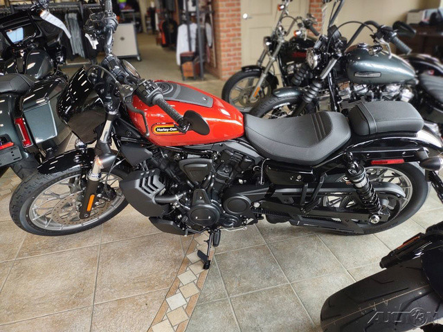 Nightster