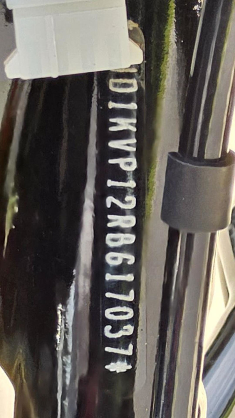 Road King® Special