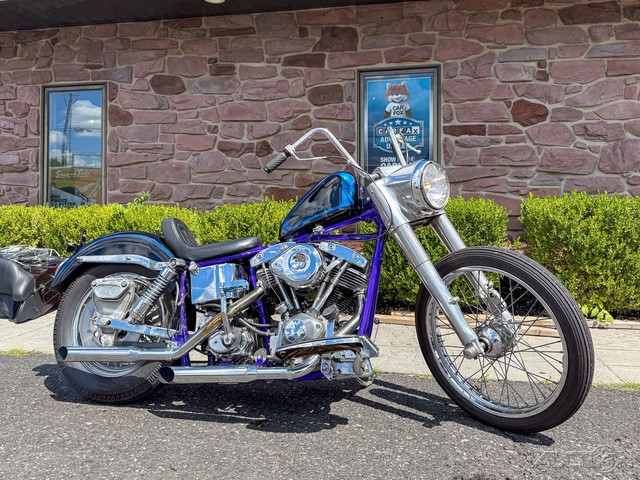 Electra Glide® Police