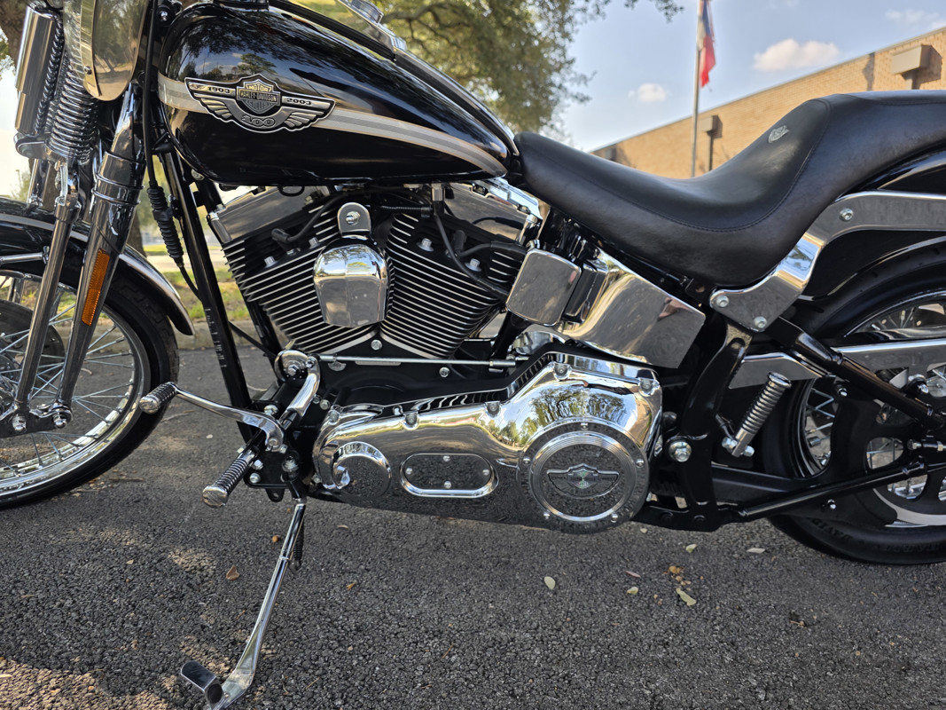 Springer® Softail® Anniversary