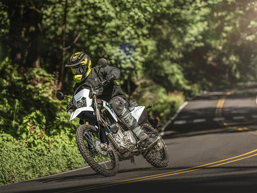 KLX300