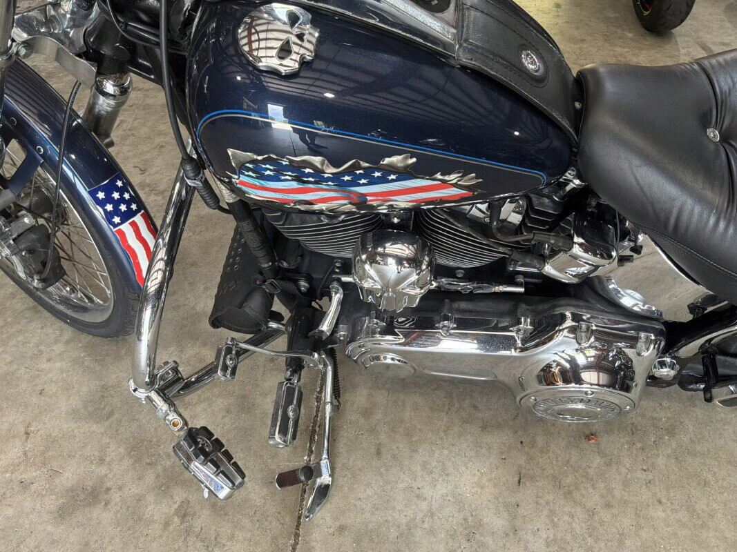 Softail® Custom