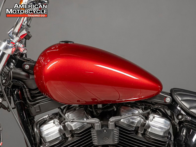 Softail® Standard