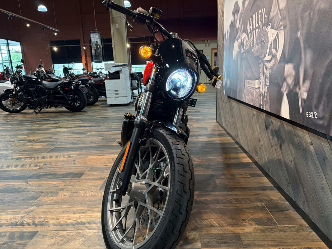 Nightster Special