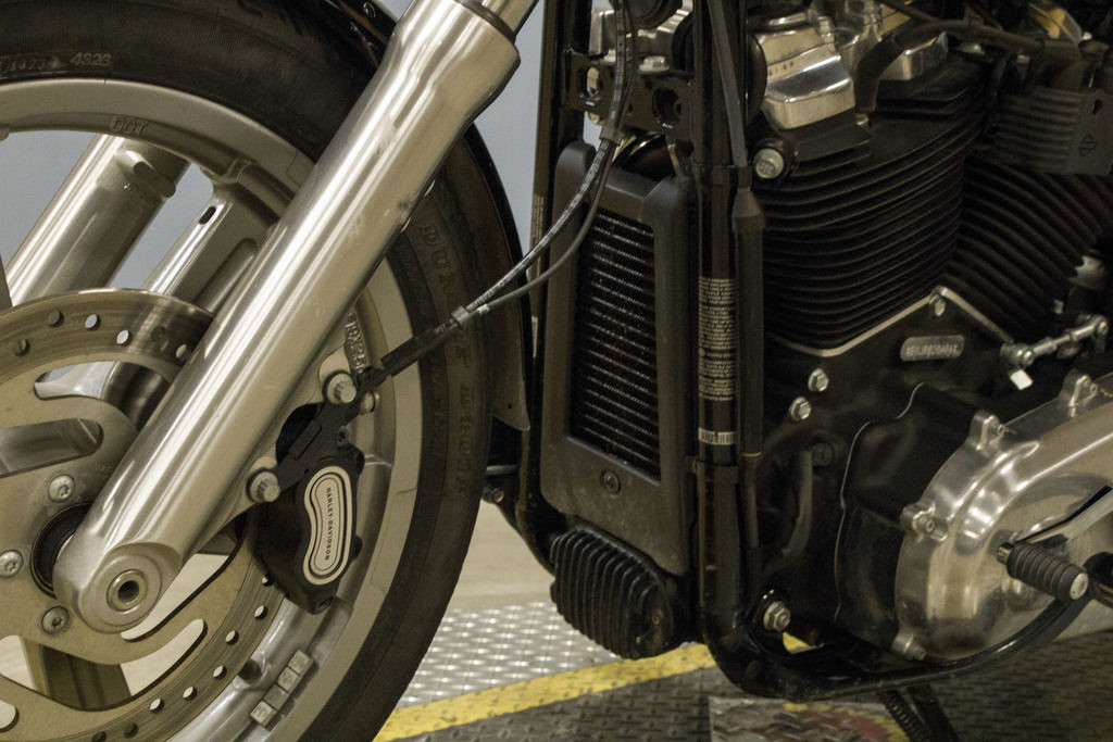 Softail® Standard