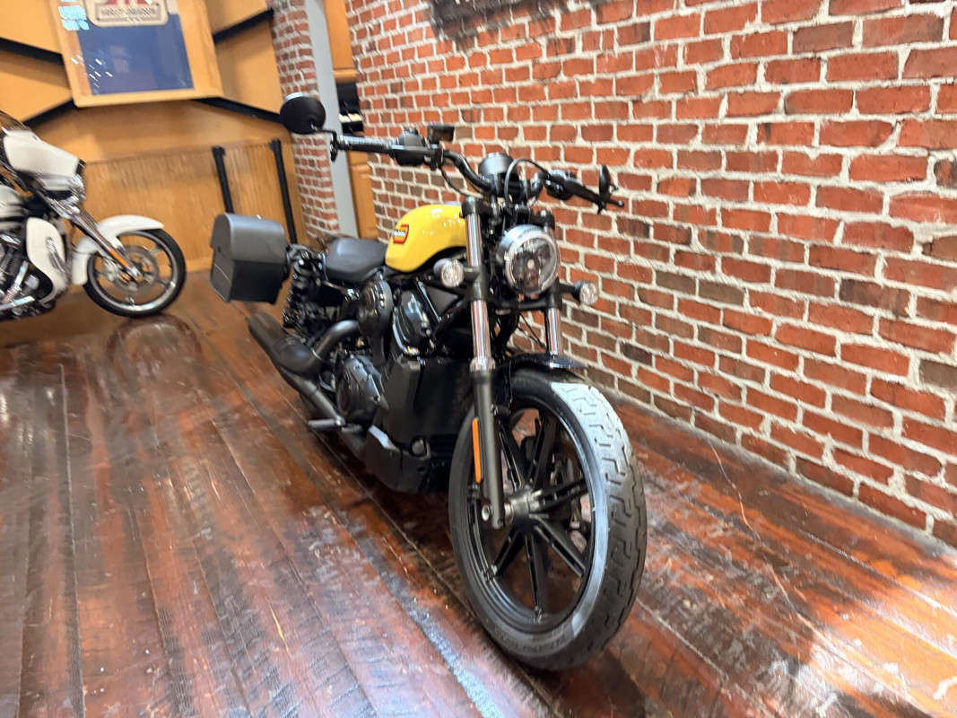 Nightster