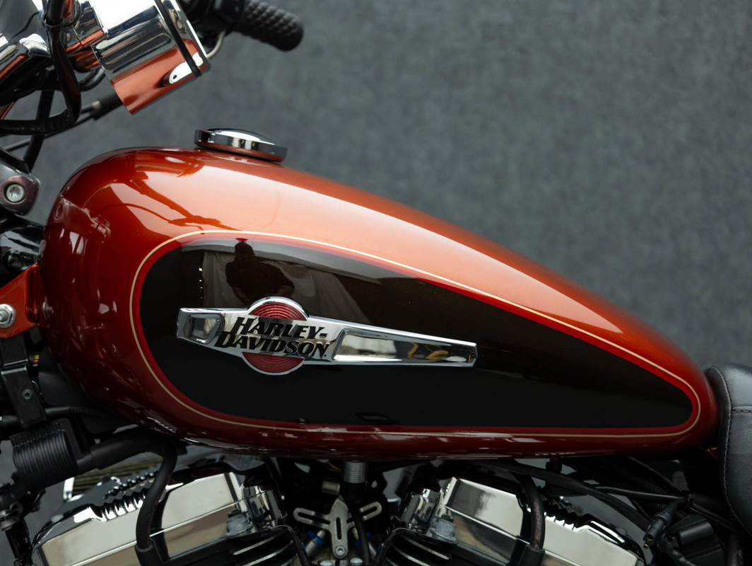 Sportster® 1200 Custom