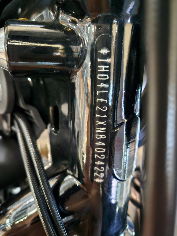 Iron 883®