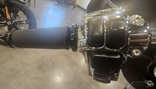 Electra Glide® Standard